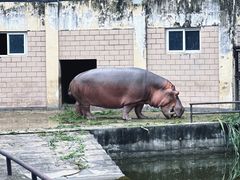 -合肥野生动物园
