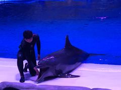 -华夏文旅海洋公园