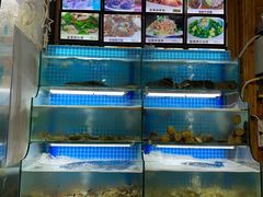 -老东镇啤酒屋海鲜加工·蒸汽海鲜·海鲜烧烤(台东店)