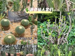 -中国科学院华南植物园