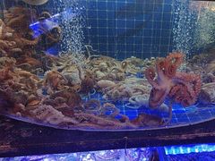 -福禧荟·海鲜自助