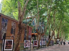 -西安电影制片厂