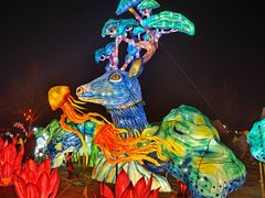 -北京国际鲜花港