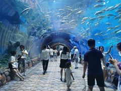 -华夏文旅海洋公园