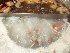 -傣妹火锅(狮子桥店)