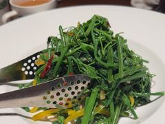 -三强鸽子(胜利路店)