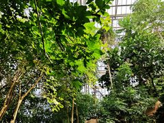 -南山植物园
