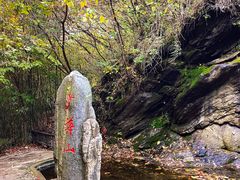 -少华山国家森林公园