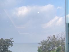 -野菌皇海景野生菌火锅(滨海大道店)
