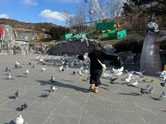 -大连森林动物园