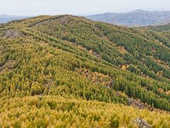 -苏木山森林公园