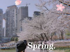 -西北湖绿化广场