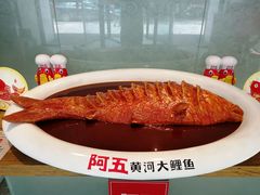 -阿五黄河大鲤鱼(英协路店)