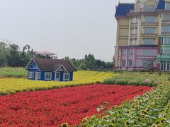 -广州花之恋城堡酒店