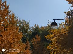 -中家鑫园温泉酒店鑫悦汤泉