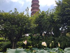 -广州莲花山旅游区