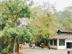 -中国科学院西双版纳热带植物园
