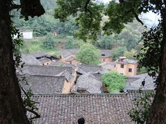 -杨家堂村