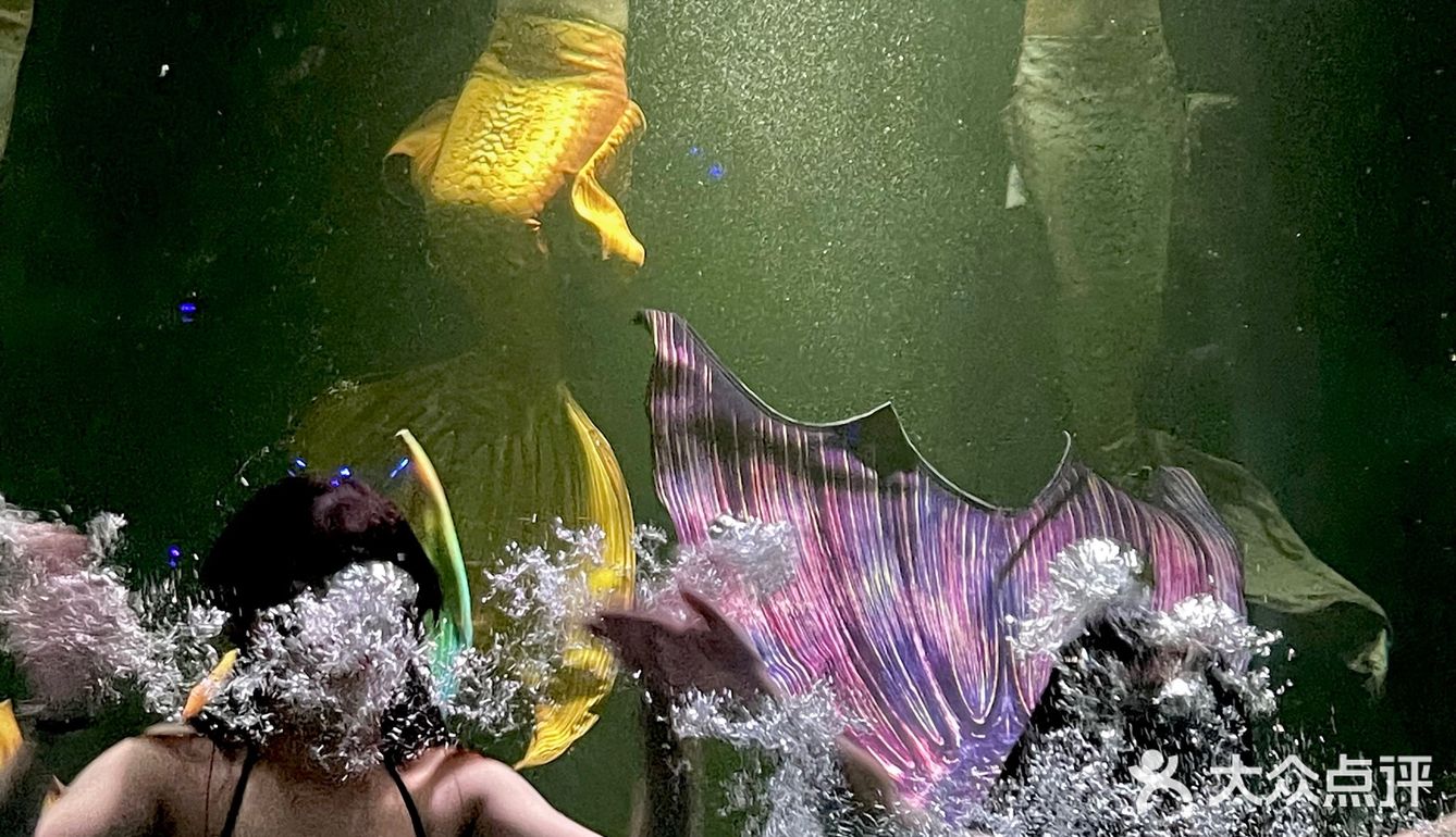 和美人鱼一起潜水啦