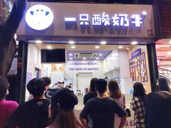 门面-一只酸奶牛(八一路店)