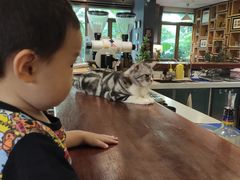 -咖法森林·咖啡  酒吧(天河店)