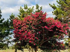 -天童教育素质成长中心(大连开发区校区)