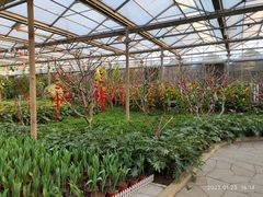 -南宫五洲植物乐园