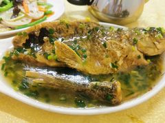 葱油鱼-粤友餐厅
