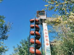 -欢乐松鼠谷