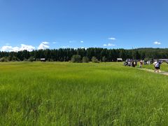 -塞罕坝国家级自然保护区