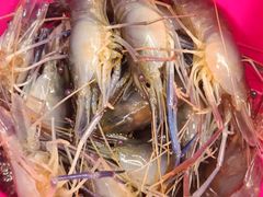 -光头佬钓虾场·烧烤·聚餐·亲子(金沙洲店)