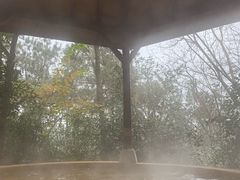 -天目湖涵田半山温泉