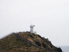 -涉地可支