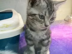 -乐宠宠物店(世纪金源店)