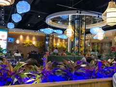 -龙泉人椰子鸡·糟粕醋·地标海南菜(龙昆南店)