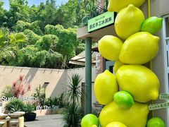 -苏小糖(鼓浪屿三丘田花园店)