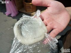 白龟&nbsp;-叶氏麻糍(鼓浪屿店)