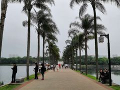 -南宁南湖公园
