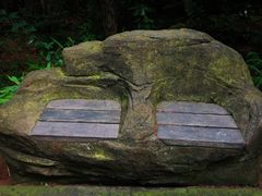 -铁山坪森林公园