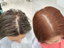 -蚂蚁造型俱乐部