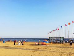 -碧海金沙