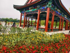 -西海子公园
