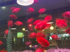 -御池园(顾村公园店)