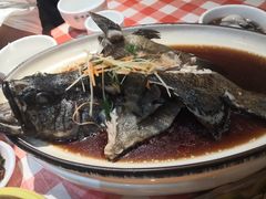 清蒸石斑鱼-琼大师东方烤乳猪(亚特兰蒂斯店)