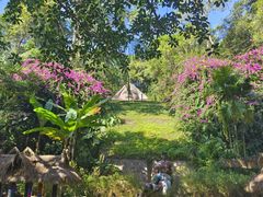 -西双版纳基诺山寨