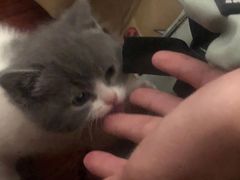 -客栈猫舍(中央北路店)