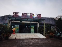 -上海海湾国家森林公园