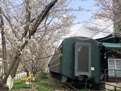 -新天地活力PARK