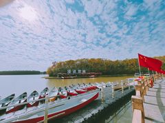 -上海海湾国家森林公园