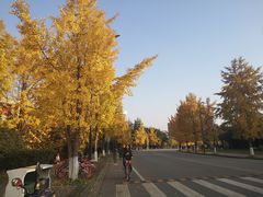 -四川大学(江安校区)